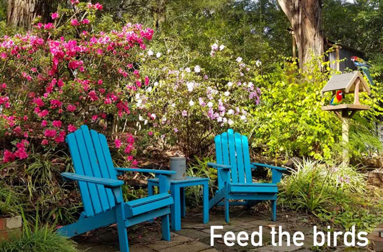 Ferny Hill Retreat, Emerald Victoria 外观 照片