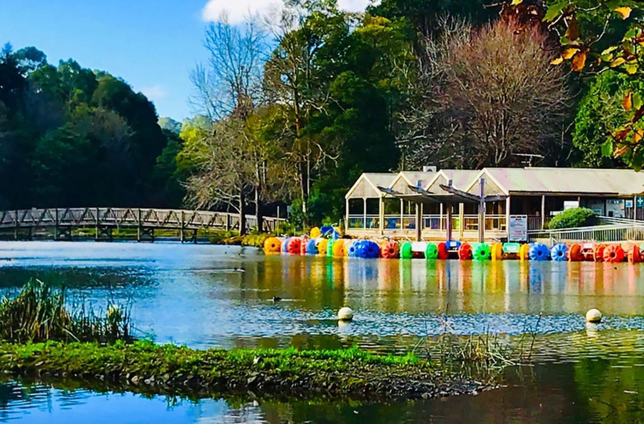 Ferny Hill Retreat, Emerald Victoria 外观 照片